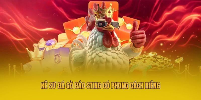 Đá Gà Bảo Sting - Tổng Hợp Thông Tin Hữu Ích Tại MM88 4 Kê sư đá gà Bảo Sting có phong cách riêng